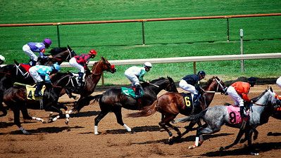 GAMSAT Melbourne Test Centre Caulfield Racecourse